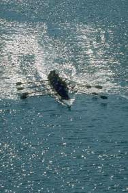 seminaire_cohesion_equipe_amarellis